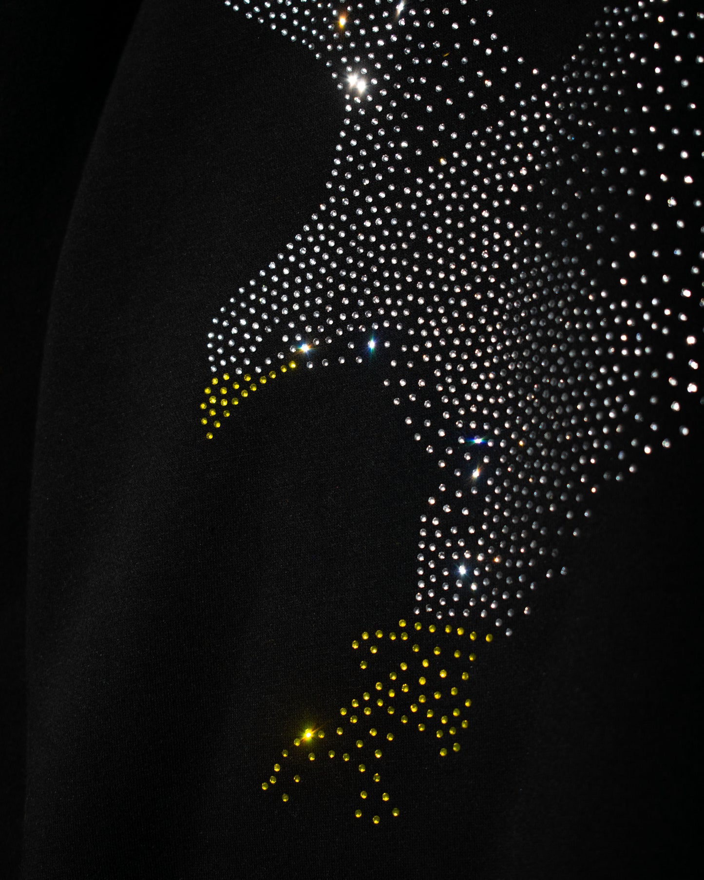 STARLIT EAGLE HOODIE