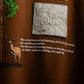 YUTORI T-SHIRT [MOCHA]