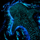 A GLOWING OCEAN T-SHIRT [GLOW IN DARK]