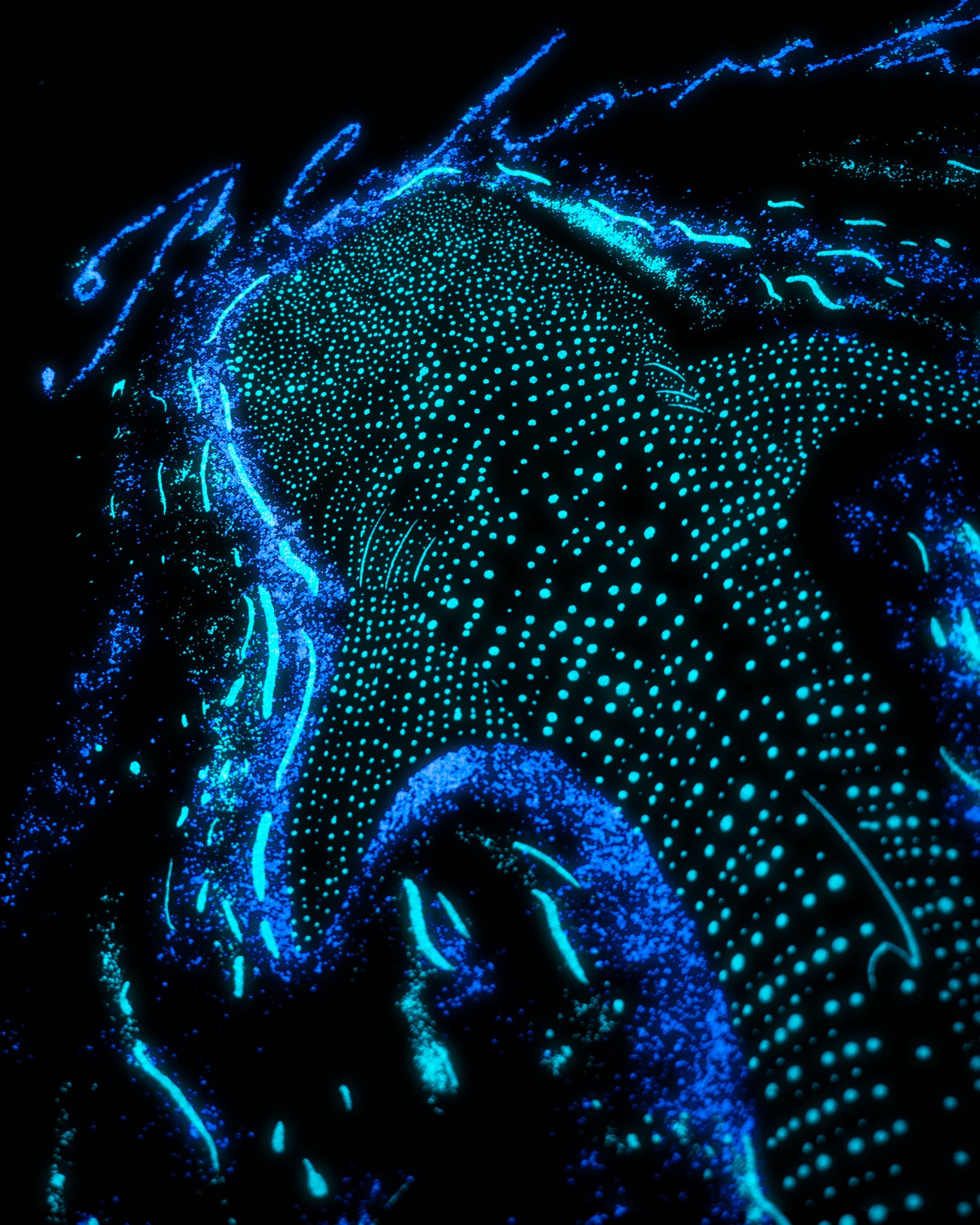 A GLOWING OCEAN T-SHIRT [GLOW IN DARK]